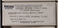 Image Associated With the Occurence